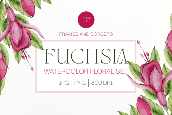 Download Pink Watercolor Fuchsia Flower Frame Set - Frame Collection